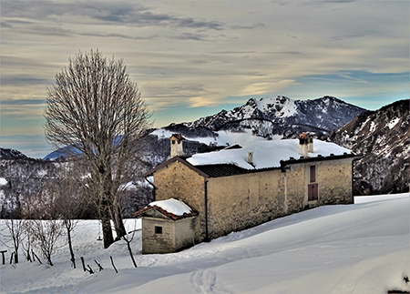 Sulle nevi dei Piani d’Artavaggio (1650 m) da Avolasio (1050 m) il 22 dicembre 2020  - FOTOGALLERY